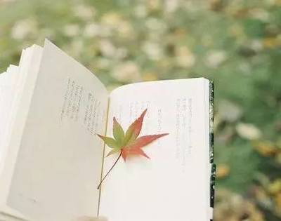 讀書，也是一種旅行——企業管理視角下的閱讀智慧