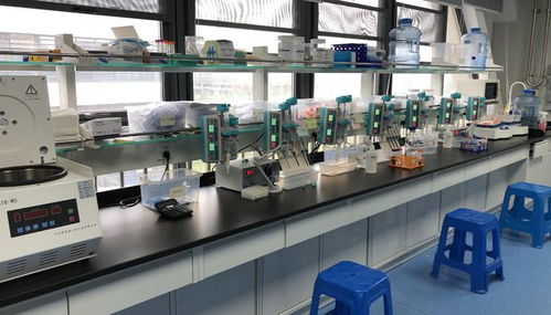 早篩創(chuàng)新與科技融合，天浚元生生物獲國(guó)高生物戰(zhàn)投，領(lǐng)跑教育科技軟件研發(fā)新賽道